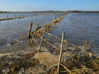 Hochwasser 2