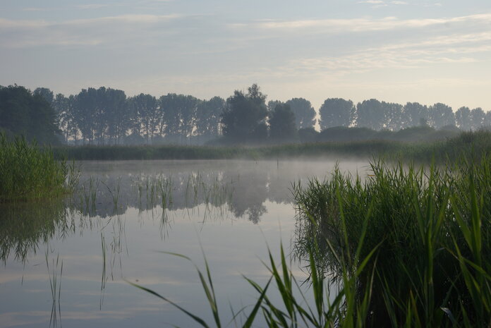 Naturschutzgebiet